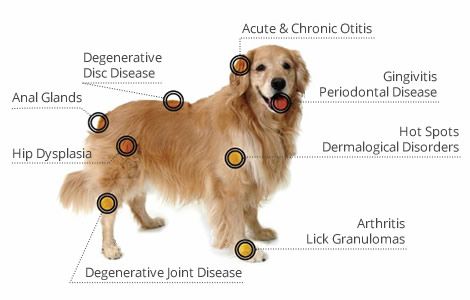 condition laser therapy